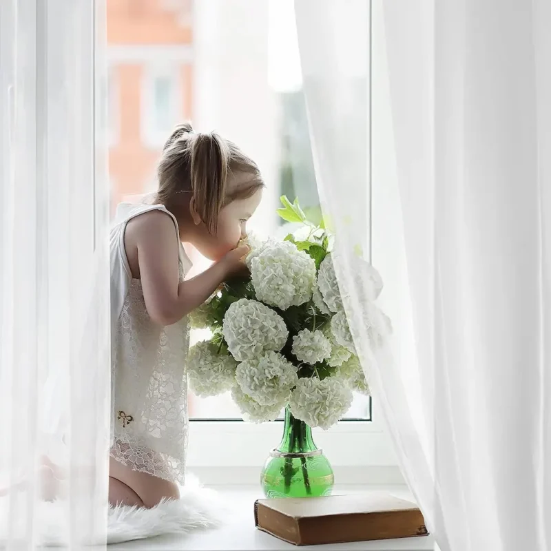 Rideau thermique transparent et fleurs pour fenêtre